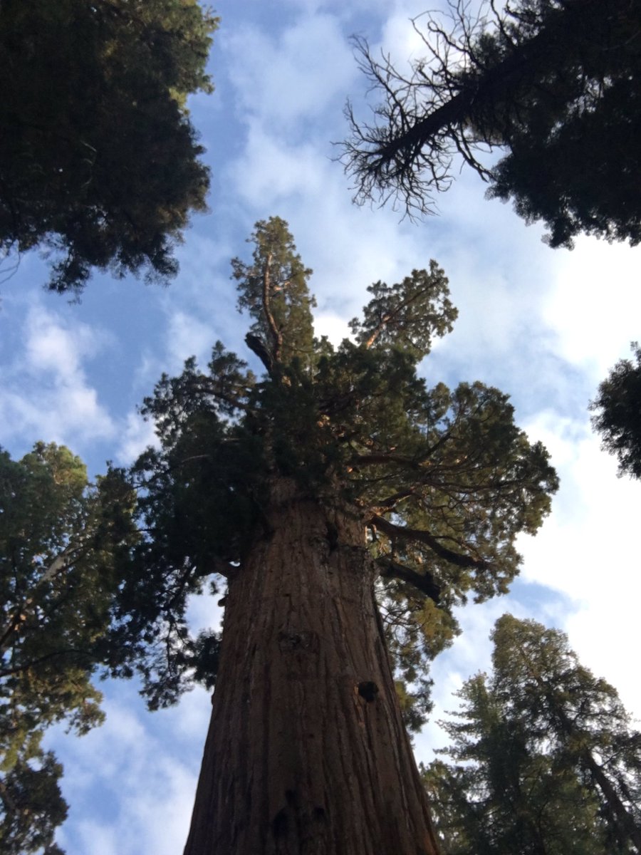 TheAutry's tweet photo. Some road trip inspiration from @SequoiaKingsNPS. Where are you headed this long weekend? π²#CAcontinued #LaborDayWeekend https://t.co/WvUxEo0mfm