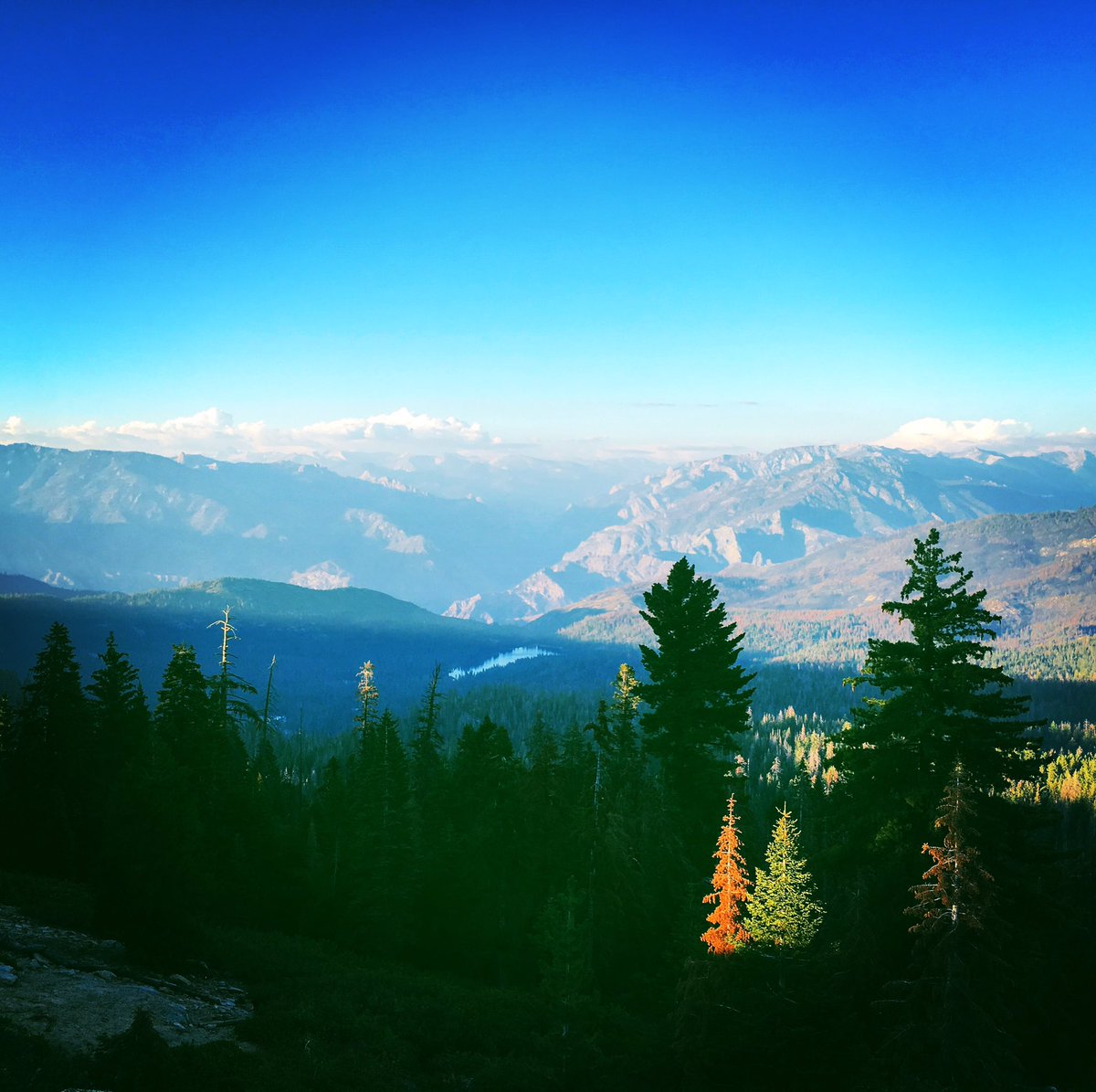 TheAutry's tweet photo. Some road trip inspiration from @SequoiaKingsNPS. Where are you headed this long weekend? π²#CAcontinued #LaborDayWeekend https://t.co/WvUxEo0mfm