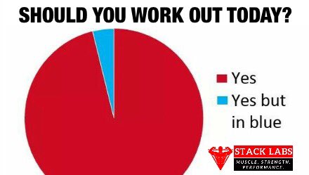 Stacklabs's tweet image. Hmm...tough decision. 🤔 😂 #workout #gym #bodybuilding