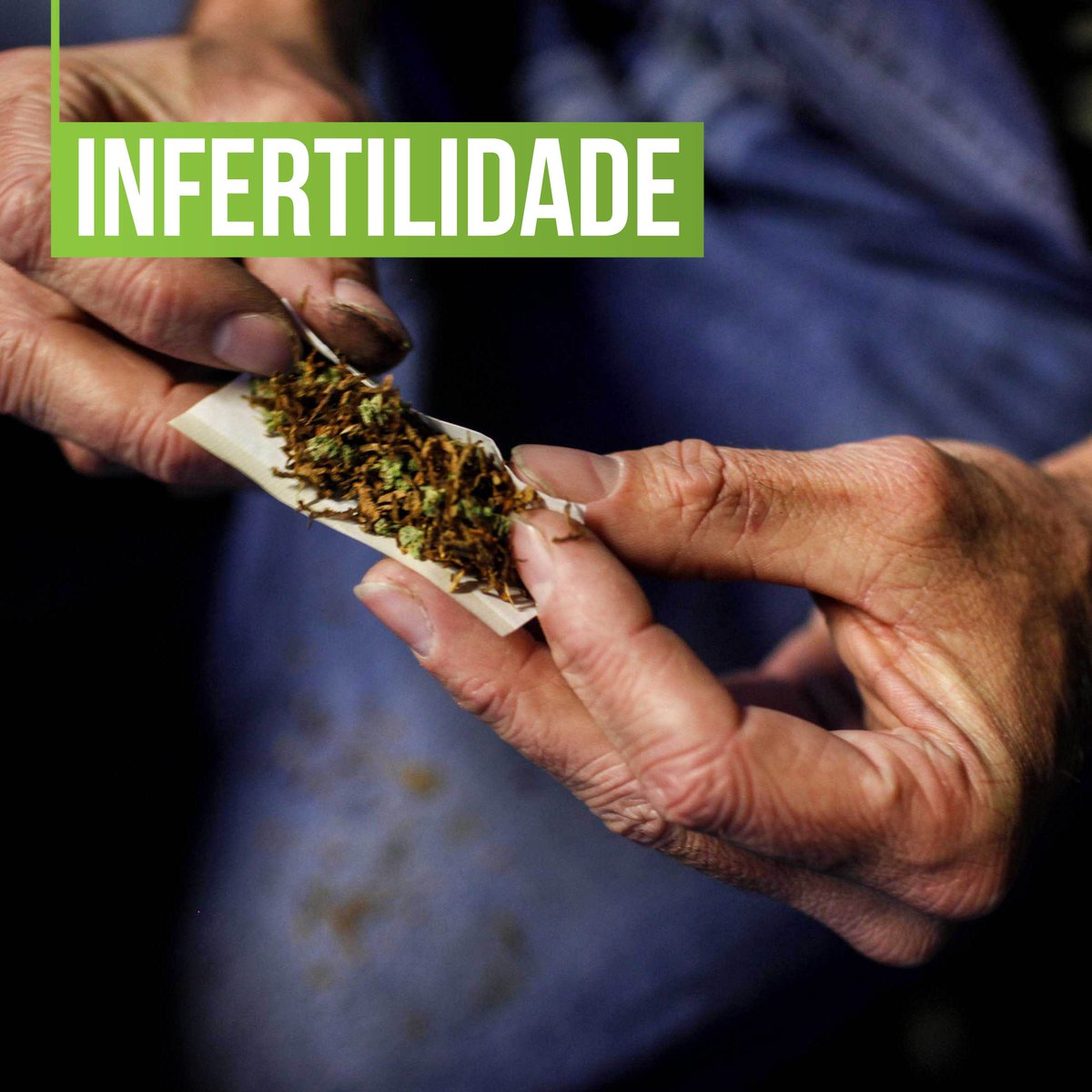 hallcombr's tweet photo. Universidade da Columbia Britânica (Canadá) descobriu que espermatozóides de usuários de maconha nadam em círculos e não chegam ao útero. https://t.co/tHXXV7Enon