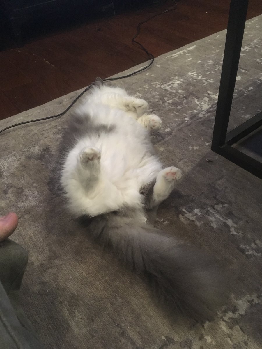 egoraptor's tweet photo. This is comfort. https://t.co/qI8TbPcTHR