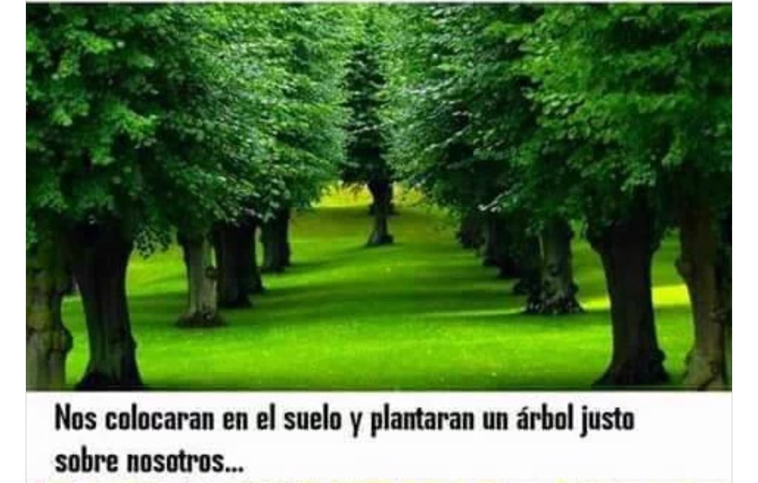 ipavix's tweet image. OJALÁ SE APLIQUE ESTE CONCEPTO ALGÚN DÍA