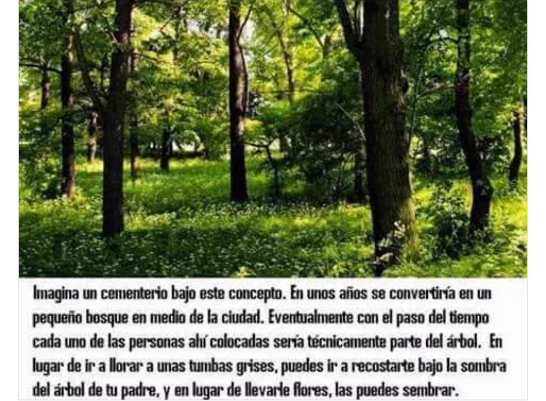 ipavix's tweet image. OJALÁ SE APLIQUE ESTE CONCEPTO ALGÚN DÍA