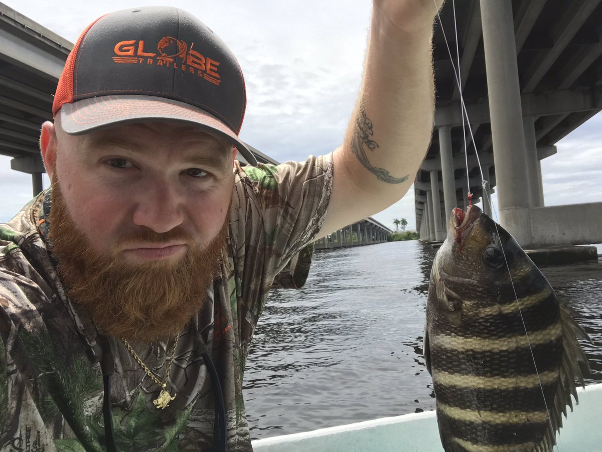 WesleyWhitmire's tweet photo. Little river snook on top water and some sheepshead this morning #backwaterssnook #bridgesheepshead #teamglobetrailers #manateeriver https://t.co/loqNQRlz82