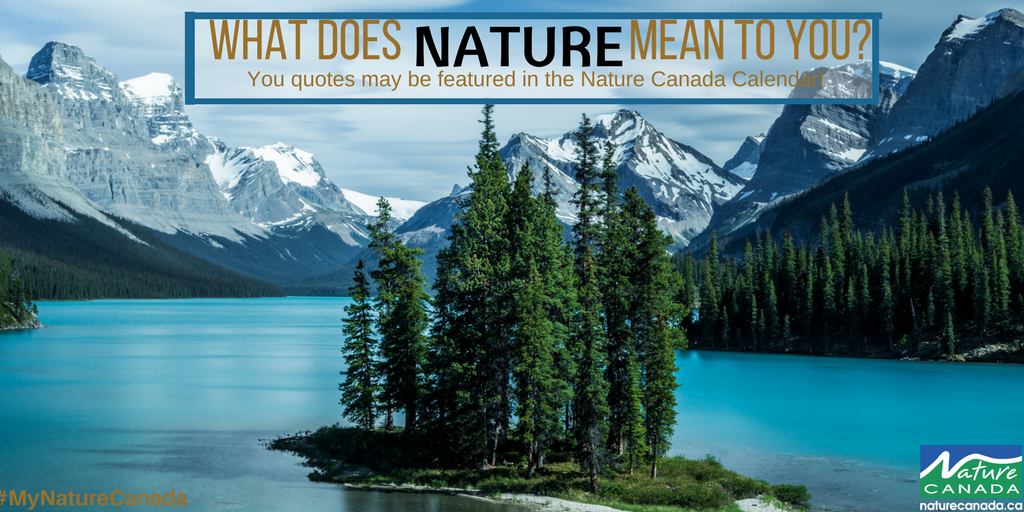 kaldenavn Forgænger mandskab Nature Canada on Twitter: "We love to hear what nature means to you! Share  your #MyNatureCanada quote and it may be included in the Nature Photo  Contest Calendar. https://t.co/hXyUTfOTI9" / Twitter