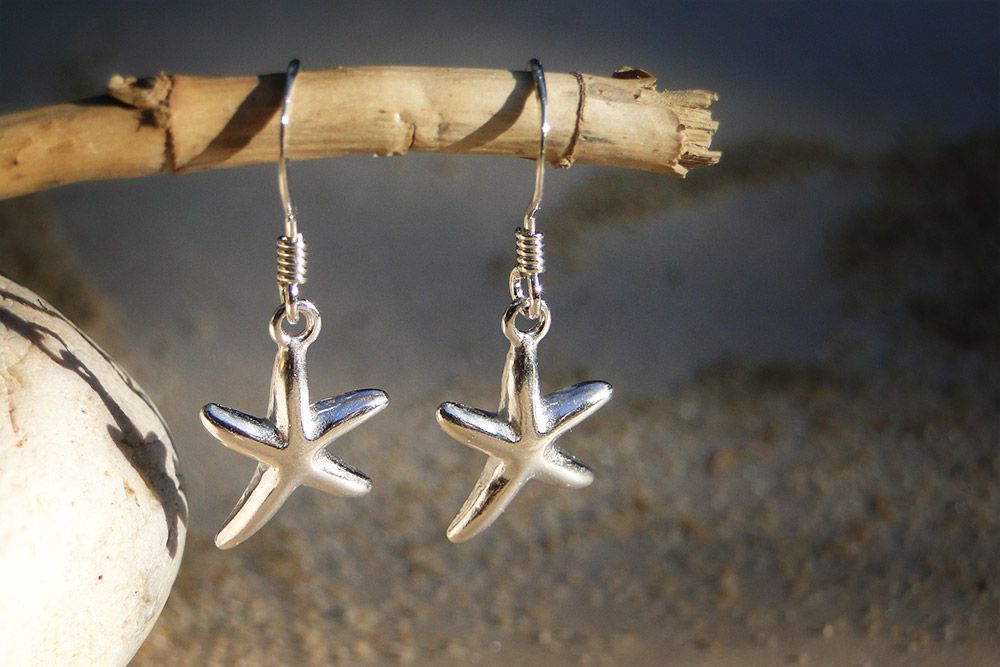 sandseagulls's tweet photo. An oldie, but definitely still a favourite! https://t.co/6QCuLTdqNi #starfish #silverjewellery #silverstarfish #holidayjewellery https://t.co/UGKd2zfYKs