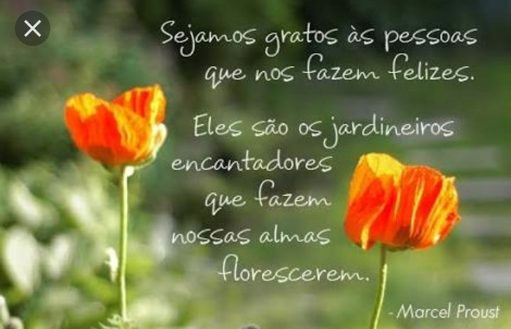 Luzimara tim beta* (@alvesluzimara) on Twitter photo 