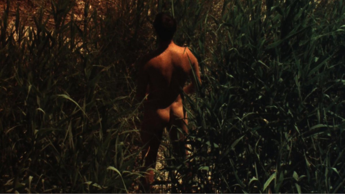 rossjulian's tweet photo. #IFFR2017 titles in @WVLGTHS: From Source to Poem (Rosa Barba) and The Watchmen (Fern Silva). https://t.co/HPSSo43cPB
