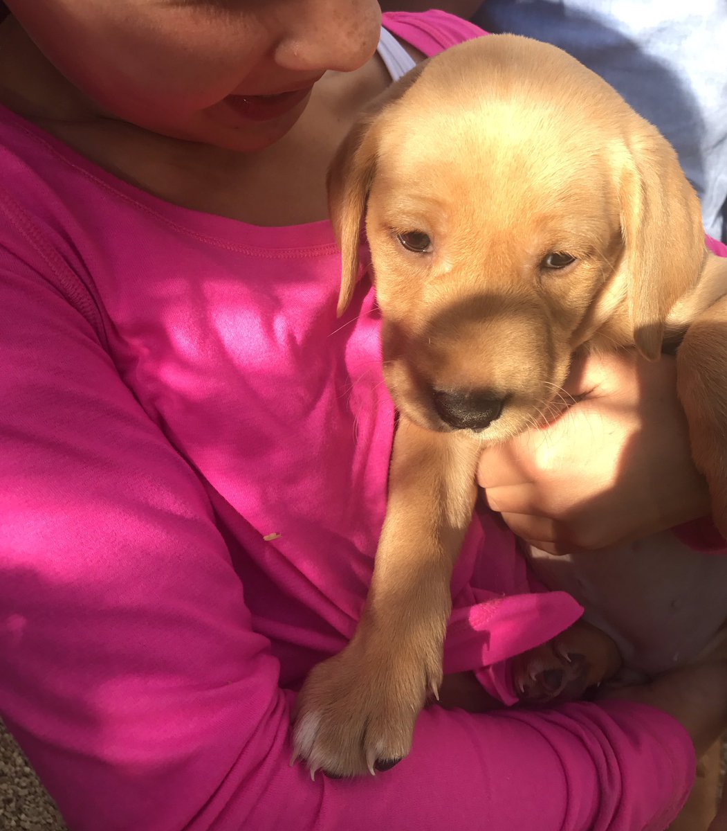 Hann_Gleeson's tweet photo. Newest family member !! https://t.co/LfkSAPGP4s