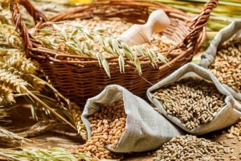 comstol's tweet image. Российское зерно: количество не переходит в качество - comstol.info/2017/09/ekonom…