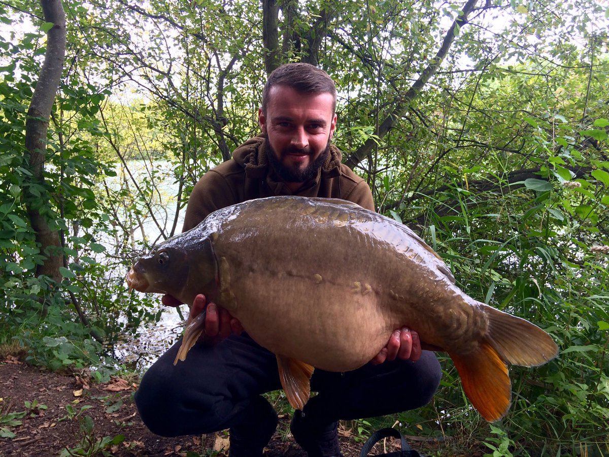 woodylee84's tweet photo. Not a bad day on the bank 6 runs 4 landed. size7 fang x blow out rig 🐟24.4 23.12 the biggest #scopexsquidstickmix #sweetcorn @NashTackleUK https://t.co/NRtK0V5uyw