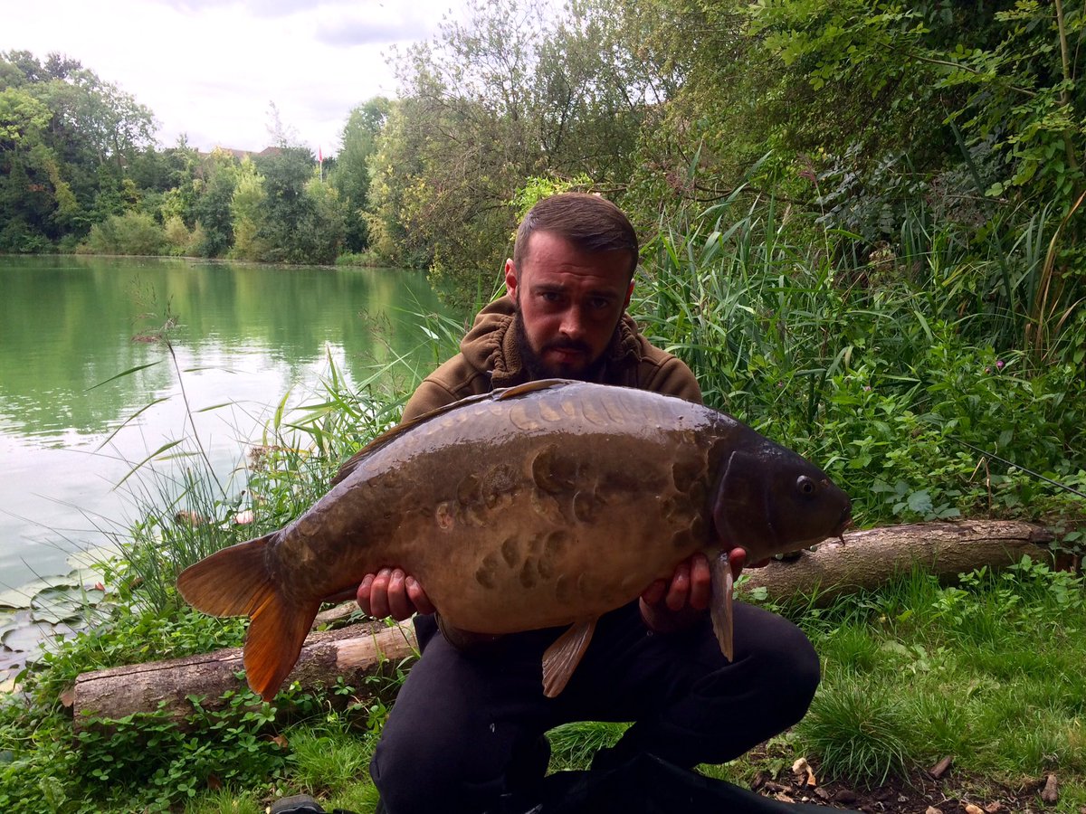woodylee84's tweet photo. Not a bad day on the bank 6 runs 4 landed. size7 fang x blow out rig 🐟24.4 23.12 the biggest #scopexsquidstickmix #sweetcorn @NashTackleUK https://t.co/NRtK0V5uyw