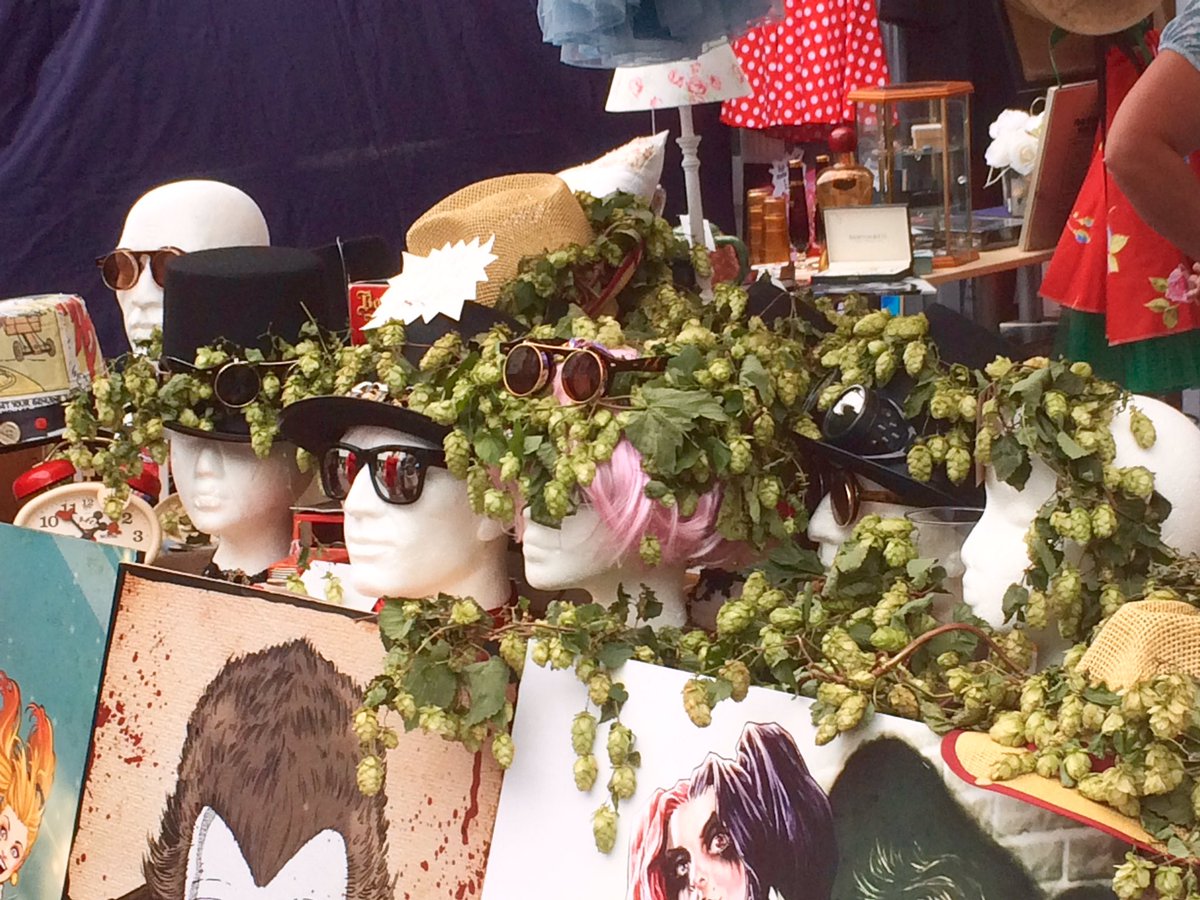 CanterburyCat's tweet photo. Great fun #hop hop hopping today at the @hopfestival in #Faversham #hopfest17 #kentishhops #beer https://t.co/XZFusr2ZTX