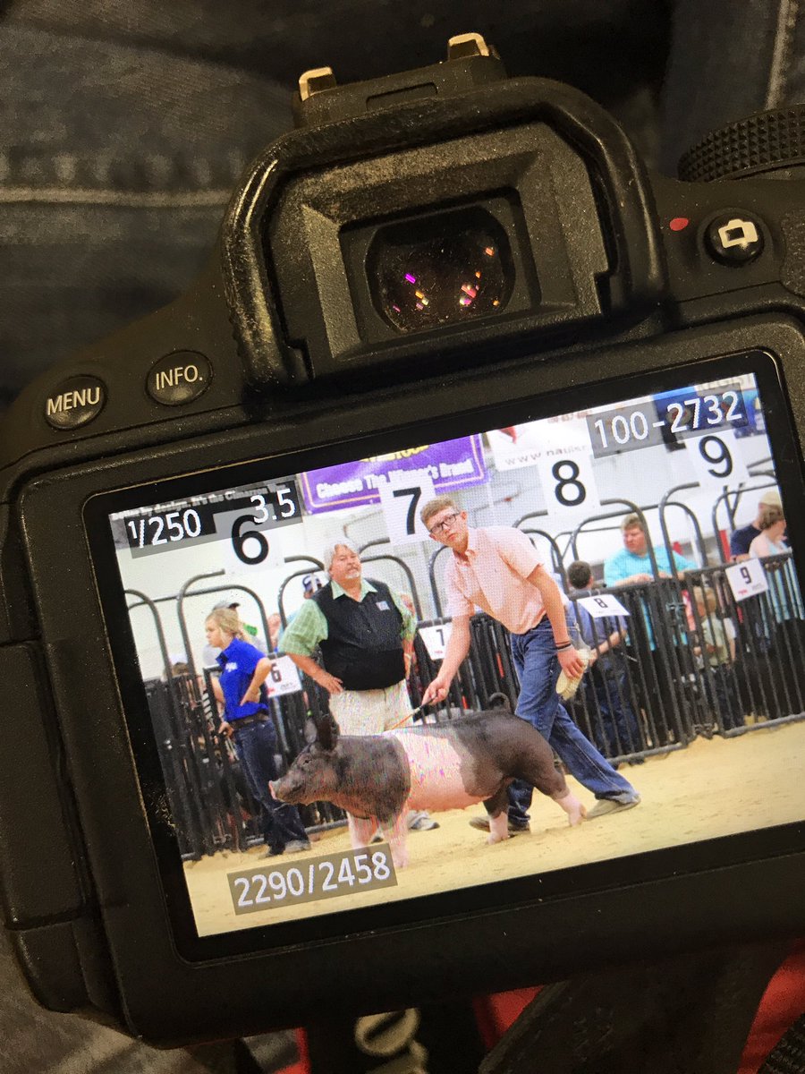 NationalSwine's tweet photo. That's wrap on #NJSA #SWRegional17! Visit https://t.co/fRNLxa0Wc2 for show results. Safe travels as everyone heads home! https://t.co/OqGN3XcMQI