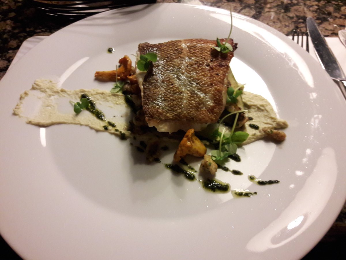 Daniela Biela tweet media