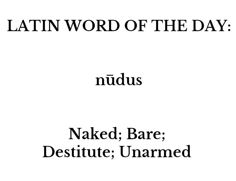 whencyclopedia's tweet photo. #Latin #Words #Languages https://t.co/Tuj6G0QwKZ