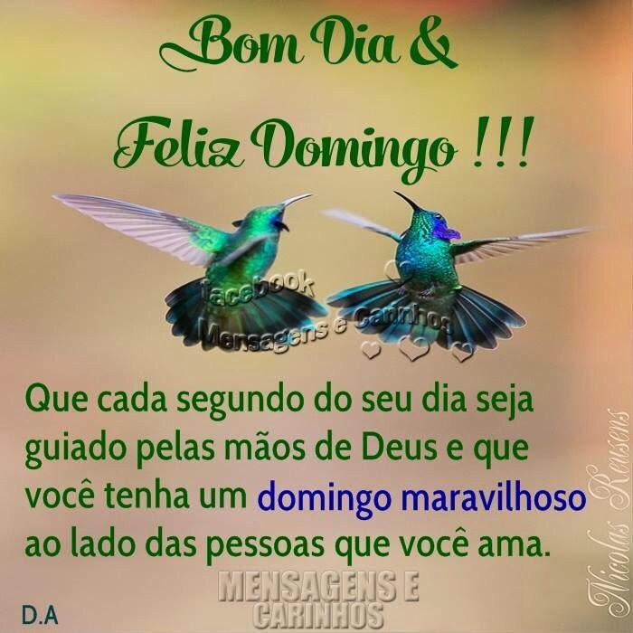 iraci josue #timbeta (@iraci_josue) on Twitter photo 