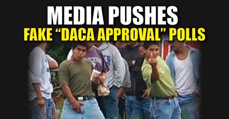CRRJA5's tweet photo. Fake News Media BUSTED putting out MANIPULATED Pro-DACA Polls  https://t.co/YhBnS9S4MA… via @truthfeednews https://t.co/bNC3E5w79q