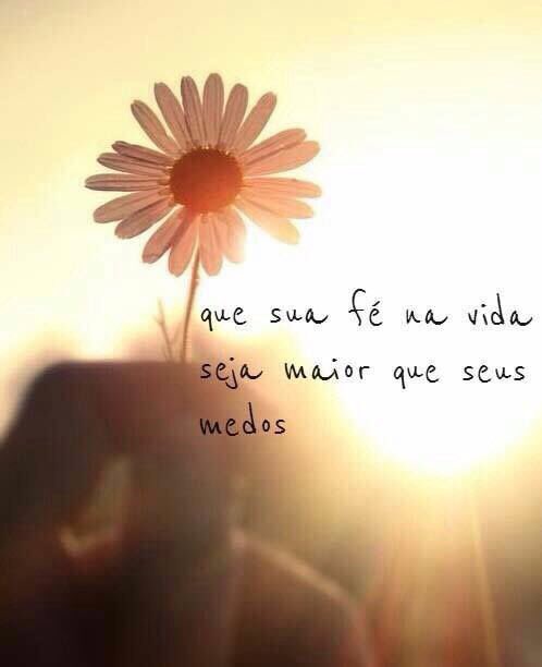 iraci josue #timbeta (@iraci_josue) on Twitter photo 