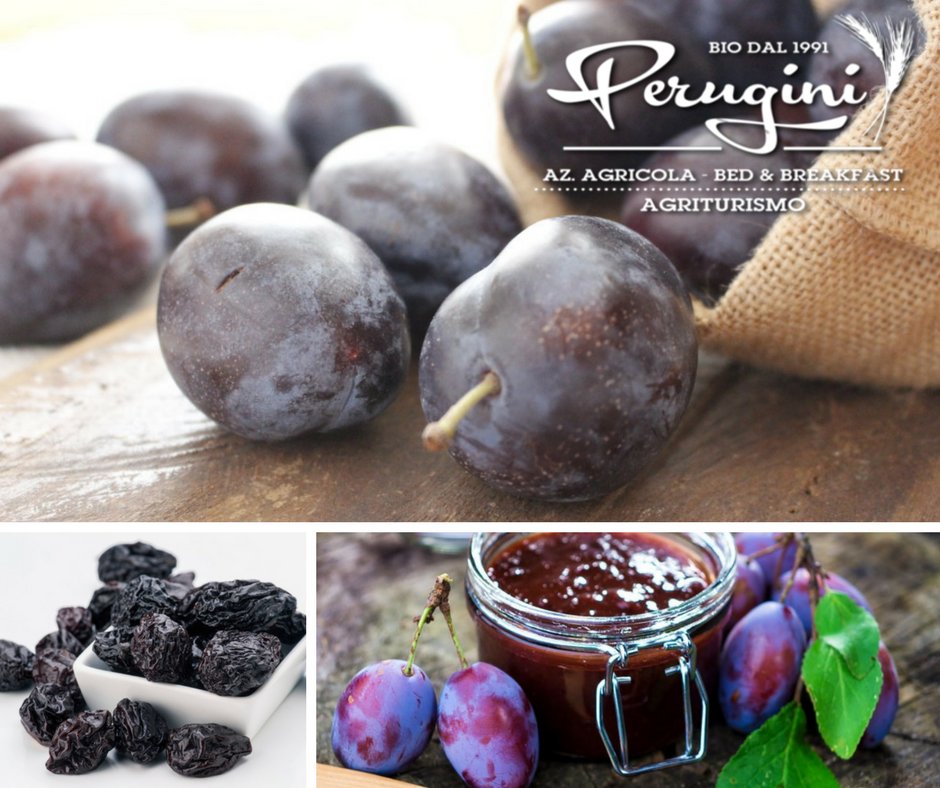 bioperugini's tweet photo. #susina #bio #stanley #confetture #sciroppate #km0 #campagna #cesena #emiliaromagna #jam #plum info 348 7458071 o perugini.elena@live.it https://t.co/N0UaofKUAJ