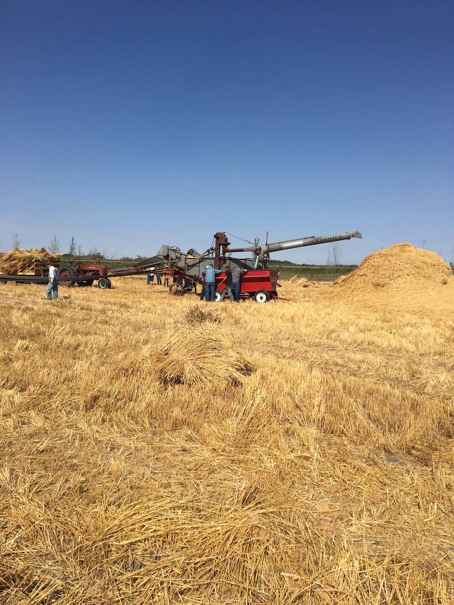 PrecisionAg1's tweet photo. Harvest is in full swing in Griffin Sk today #threshingbee #harvest2017 https://t.co/r5nGEtJp5P