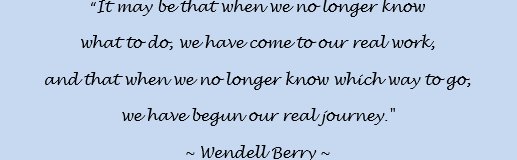 ℂ𝕙𝕖𝕤𝕤𝕒 tweet media