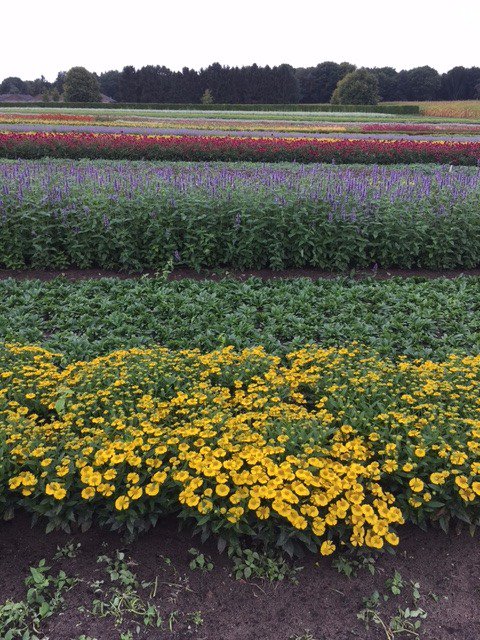 Spuitlicentie ‘Duurzaam telen: gezond gewas &amp; gezonde bodem’ , 14 september, MTS Lucassen, Afferden.  bomenvoordetoekomst.nl/index.php