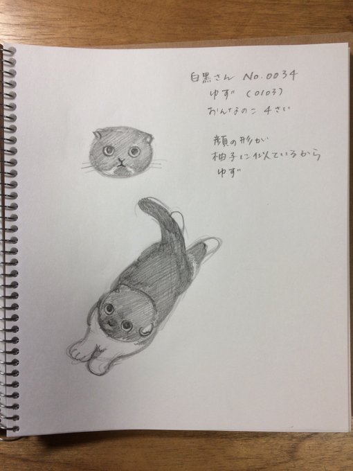 まんまるの顔にむっちりボディのゆずちゃん。たまらんかわいさ。 