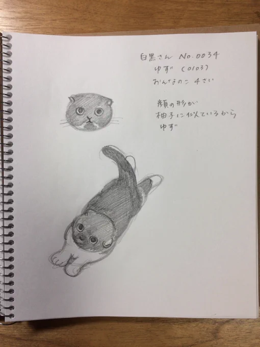 まんまるの顔にむっちりボディのゆずちゃん。たまらんかわいさ。 