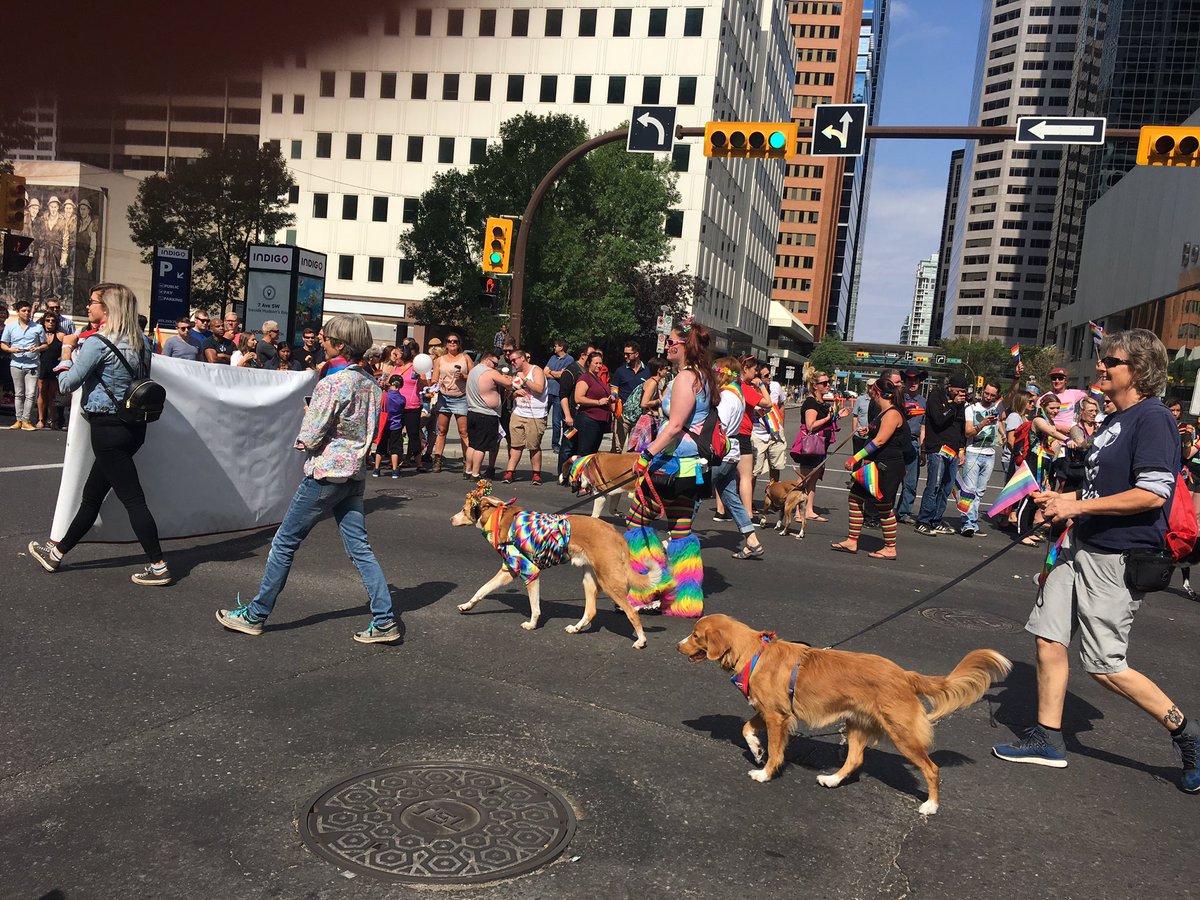 Anne Daniel tweet media