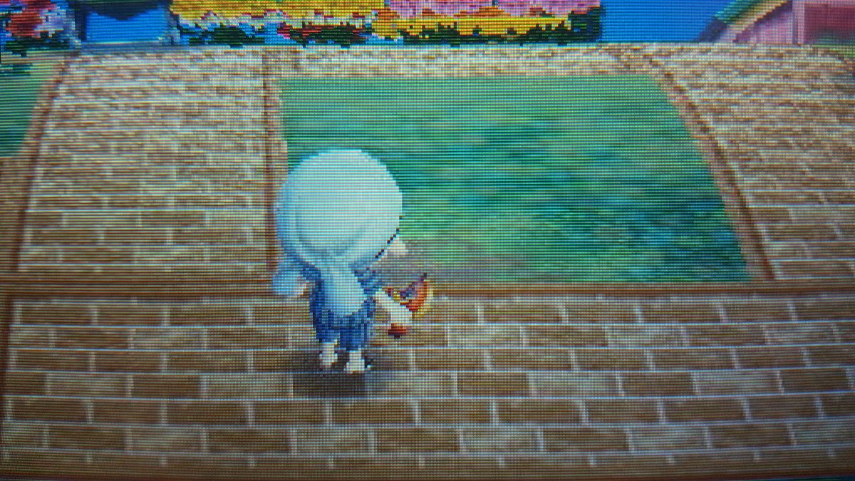 hinataDM's tweet photo. この前
テントでお誘いした
クリスさん

なかなか
建てて欲しいとこには
建ててくれないもんですなぁ
建てやすくしてあるのに
木を伐採されてしまた https://t.co/y4tDKVHBNK