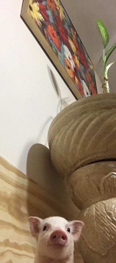 CauseWereGuys's tweet photo. Open for a surprise https://t.co/2WMA85GOpn