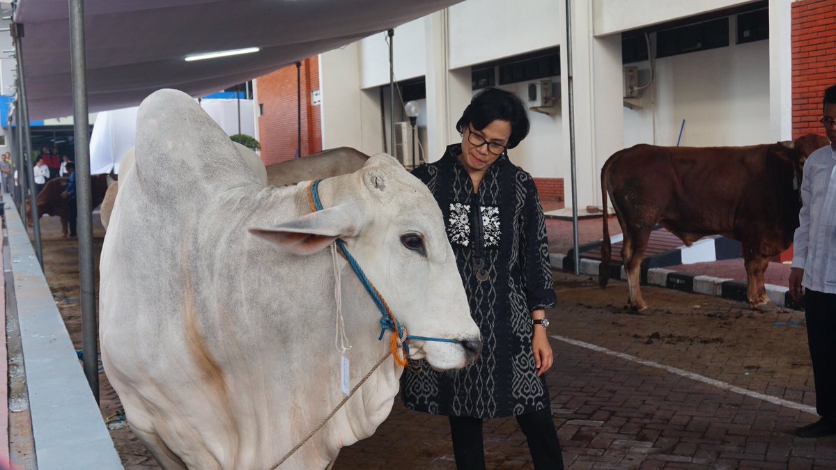 DitjenPK's tweet photo. Pagi ini #MenkeuSMI membuka acara Pelaksanaan Penyembelihan Hewan Qurban Iduladha 1438 H di lingkungan Kantor Pusat @KemenkeuRI https://t.co/urbYKW2NO8