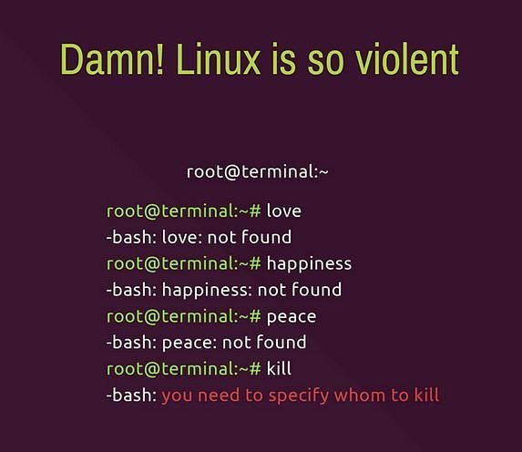 vocatorofficial's tweet photo. Scary stuff eh ? #codinghumor #Sourcecoders https://t.co/Qz6HR6jEit