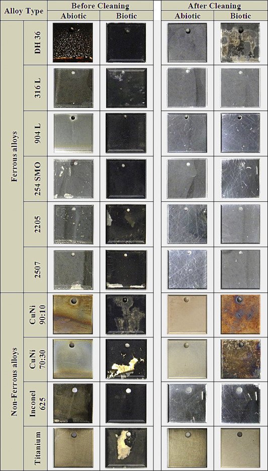 download zinc oxide from fundamental