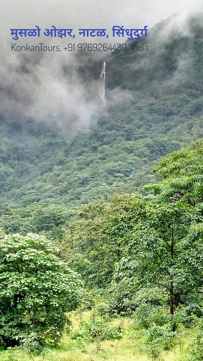 KokanTours's tweet photo. #konkantours #pakatrip @mtdc_official @incredibleindia @CMOMaharashtra https://t.co/snvWg7cCYm