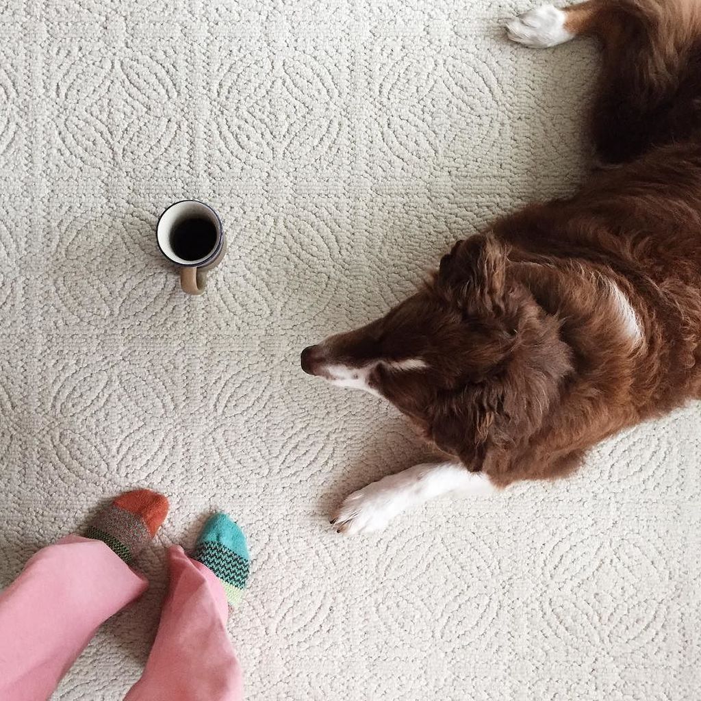 soupatraveler's tweet photo. Good Afternoon! Lazy rainy day up at the lake!
~
~
~
#themugchronicles #livinggratefully #coffee #coffeelove #cof… https://t.co/dMtRFflM2N https://t.co/vmCc65rHGF