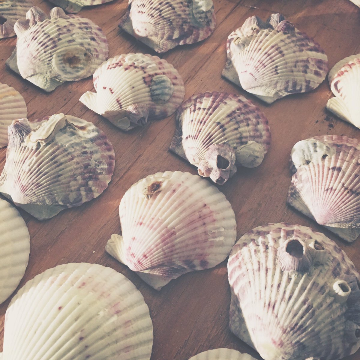 WallByrd's tweet photo. Time for a little mermaid diy๐
#costumebuild #SealMaiden #rocfringe17 https://t.co/MQUZYr2h3s