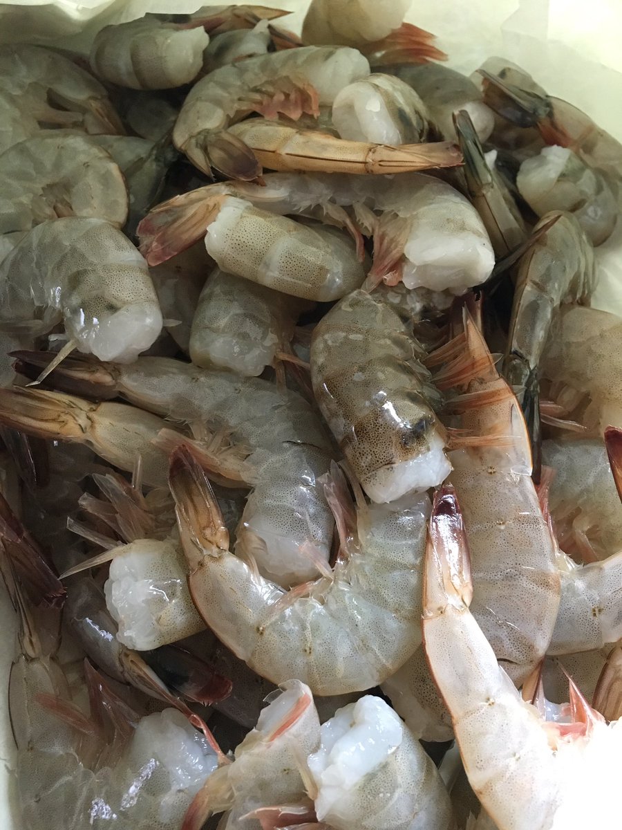 klsol's tweet image. 