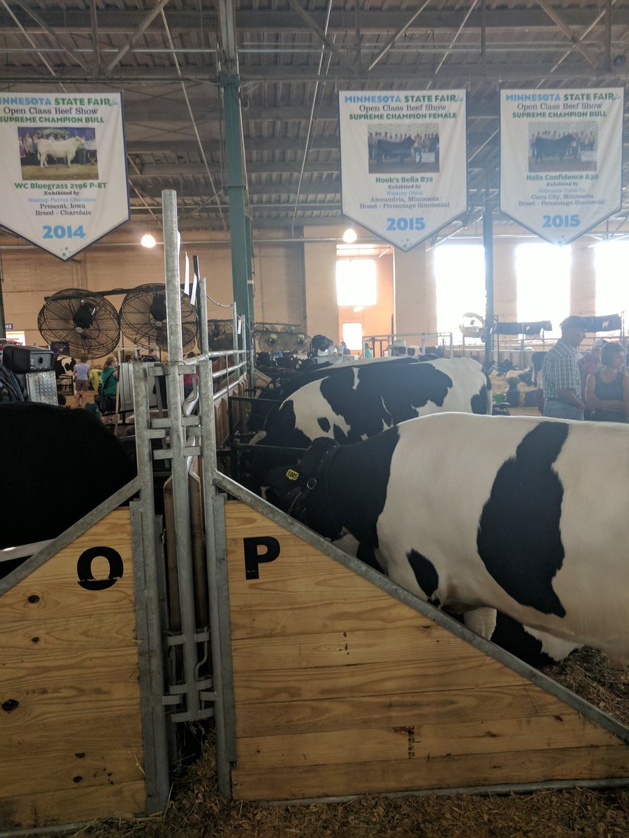 benfinks's tweet photo. Mooooooo #moo #statefair #nextbarn https://t.co/LWvhzs0hhi