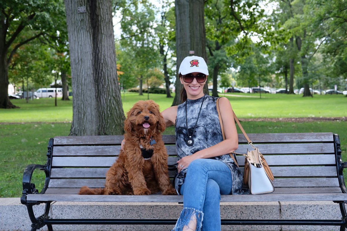 amazonbasics poop bags