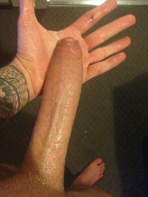 1 pic. Some beautiful @uncut2017 cocks today! Take care! Spread the love! https://t.co/yTn7yrQwEh
