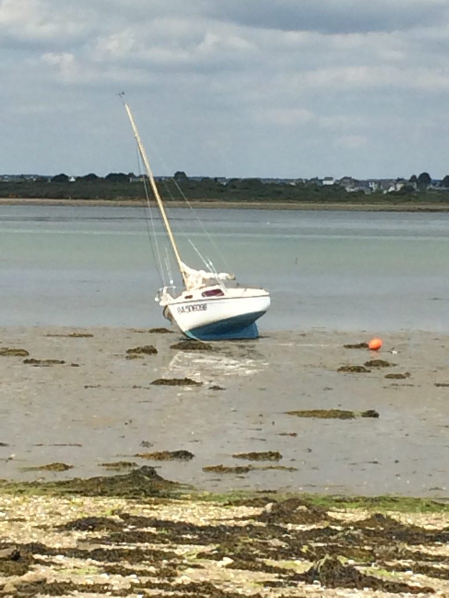 dsteinram's tweet image. Pêche aux palourdes objectifpoles.fr/peche-aux-palo…