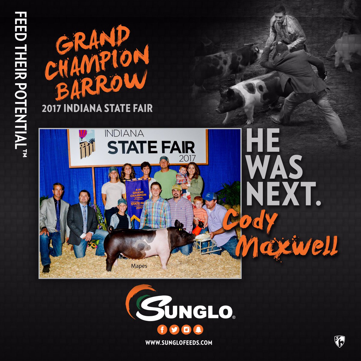 SungloFeeds's tweet photo. HE WAS NEXT
Grand Barrow
Indiana State Fair
Cody Maxwell
#SungloFeeds #HeWasNext #TeamSunglo #FeedTheirPotential https://t.co/0wMCi4CeLb