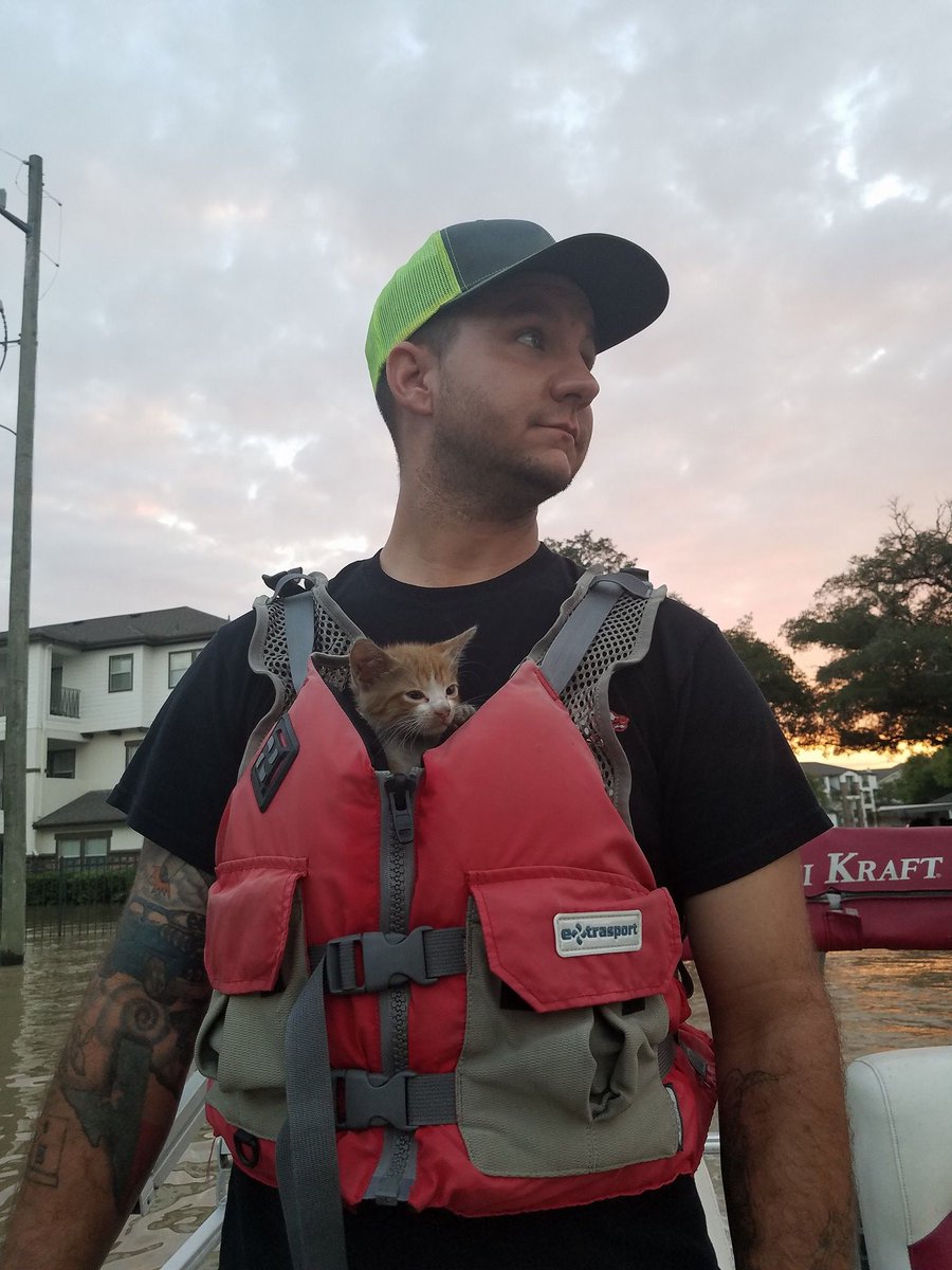 Tiny little rescue from hurricane harvey