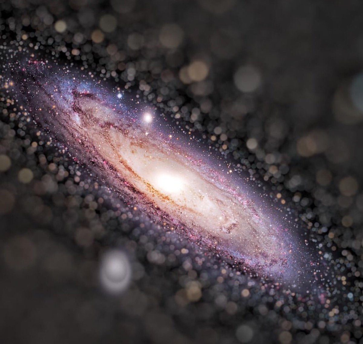 Let the thirst of your search for truth, be quenched only by the reality of the unknown