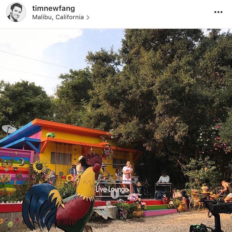 Mileysbae On Twitter Why Does Mileys Backyard Remind Me Of The