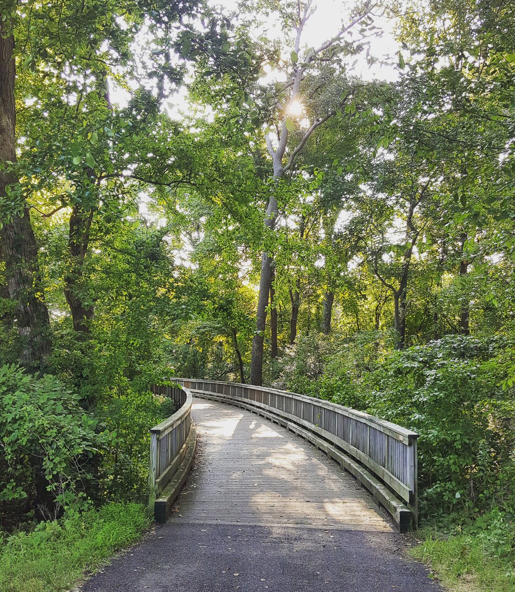 loving_n_j's tweet photo. Gorgeous weather 💚 #LovingNewJersey 

#ThompsonPark #lincroft #RedBank #nj #njparks #njoutdoors #JerseyLife #park #eastcoast https://t.co/BTAUqZSnPw