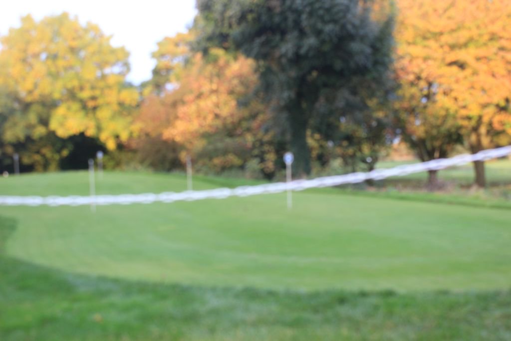 Girtongolfclub's tweet photo. Join Dean on Monday 18th September for his short game clinic, 10-12pm, covering all aspects around the greens to improve your golf! #chiputt https://t.co/VDbKiVYvWv