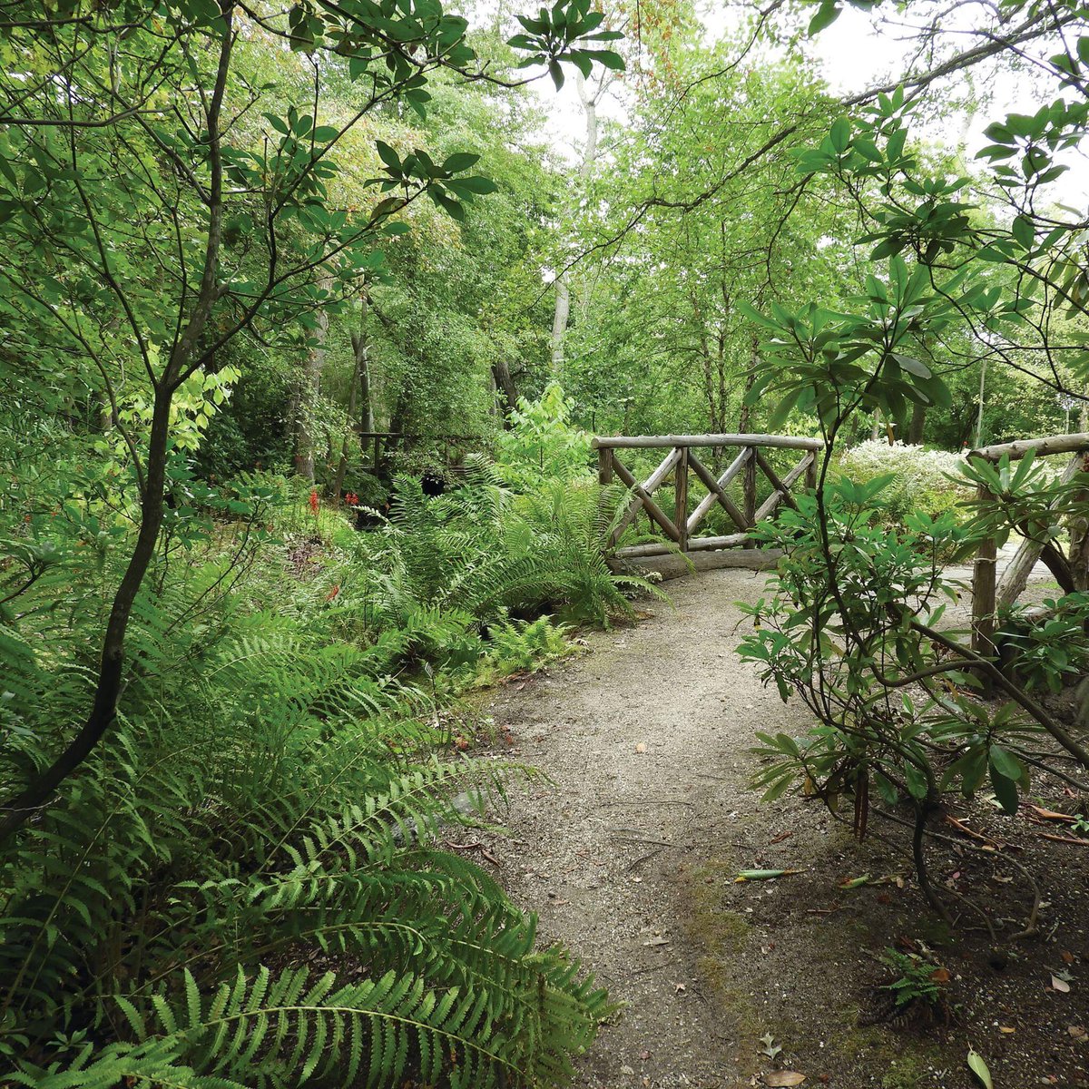nature of or nature of or